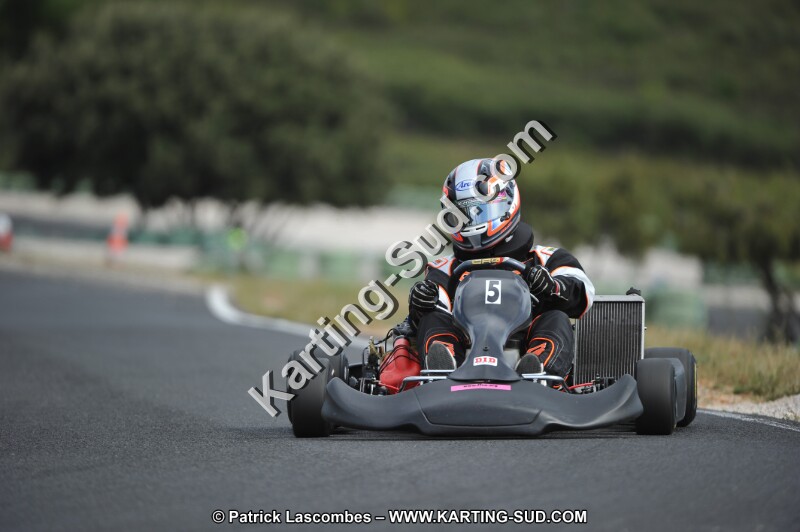 DSC (3455).JPG